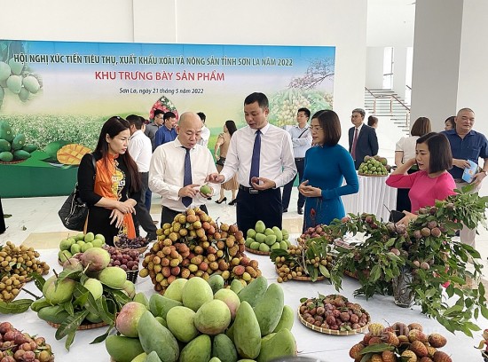 Xúc tiến thương mại- Đòn bẩy cho phát triển thương mại miền núi