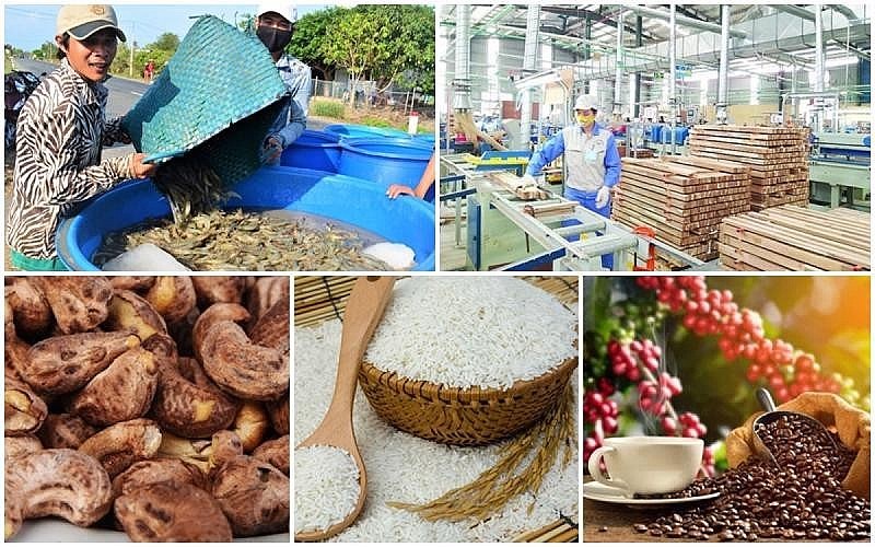 Bộ Công Thương đồng hành, hỗ trợ hiệu quả xuất khẩu nông, lâm, thủy sản
