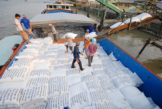 Xuất khẩu gạo: Triển vọng sáng cho Việt Nam