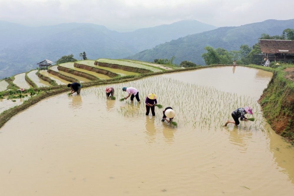 Sức vươn Hoàng Su Phì