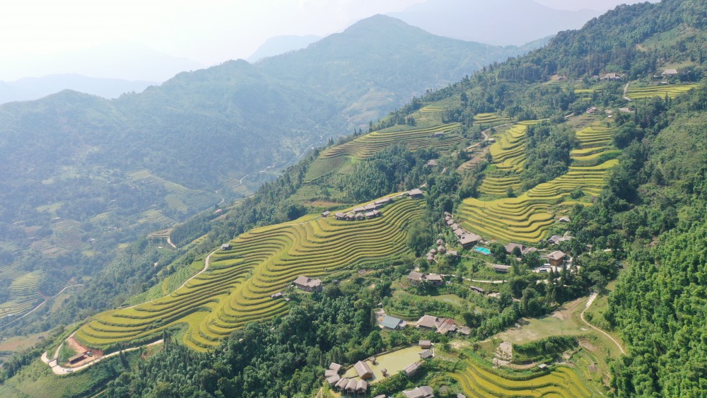 Sức vươn Hoàng Su Phì