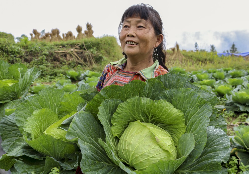 Sức vươn Hoàng Su Phì