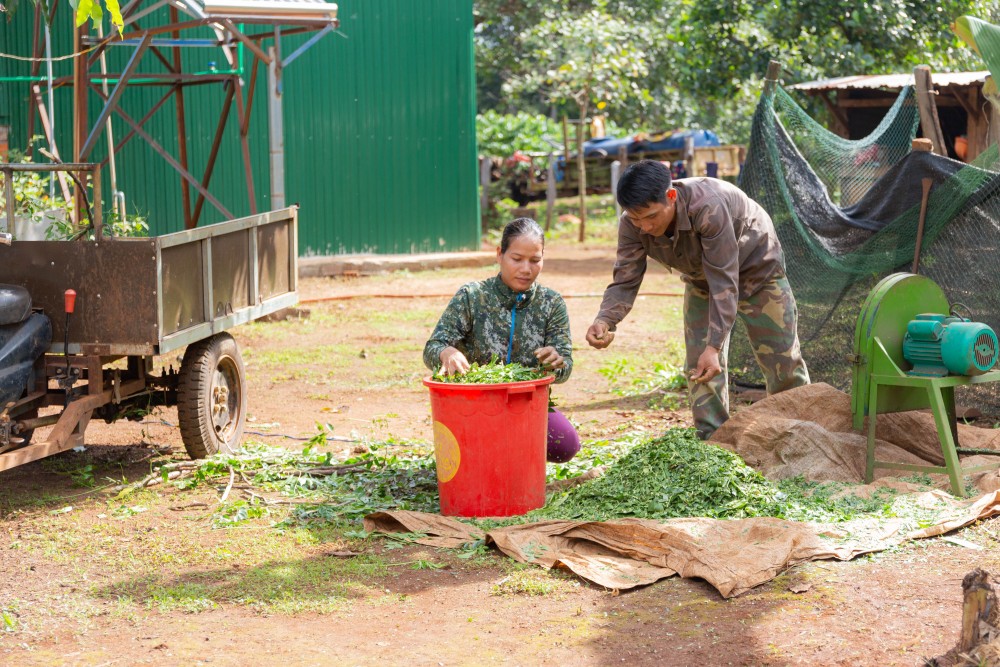 Tổng kết dự án thúc đẩy tài chính toàn diện vì phụ nữ dân tộc thiểu số