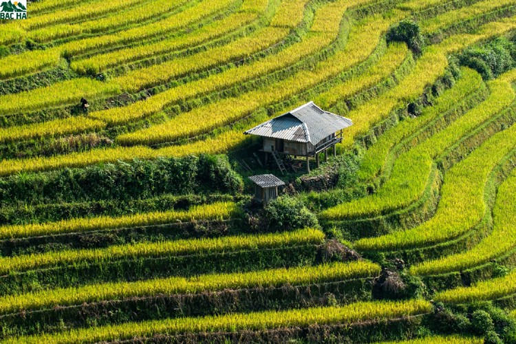 Xã Bản Liền huyện Bắc Hà gắn phát triển du lịch nông nghiệp với bảo vệ môi trường nông thôn mới