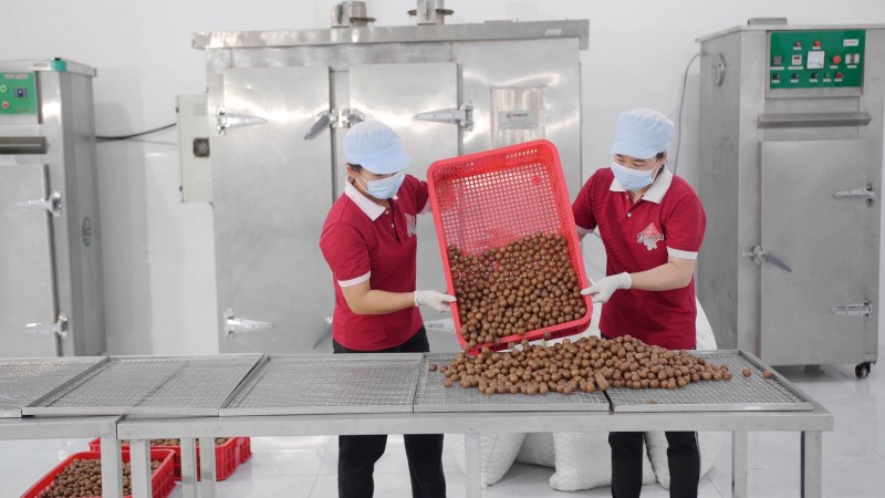 việc xuất khẩu chính ngạch thành công sản phẩm mắc ca sang thị trường nổi tiếng khó tính là Nhật Bản sẽ là tiền đề mở ra cơ hội cho các doanh nghiệp của tỉnh Đắk Lắk