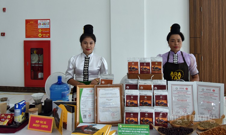Tỉnh Sơn La Tôn vinh 19 sản phẩm nông nghiệp tiêu biểu Tỉnh Sơn La Tôn vinh 19 sản phẩm nông nghiệp tiêu biểu