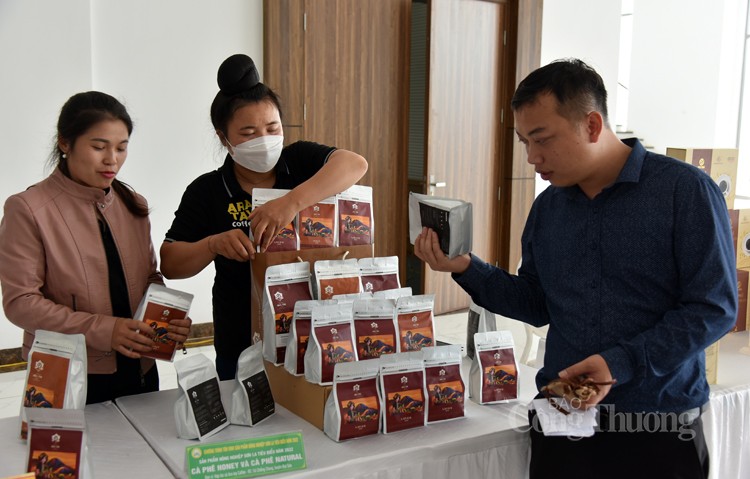 Tỉnh Sơn La Tôn vinh 19 sản phẩm nông nghiệp tiêu biểu Tỉnh Sơn La Tôn vinh 19 sản phẩm nông nghiệp tiêu biểu