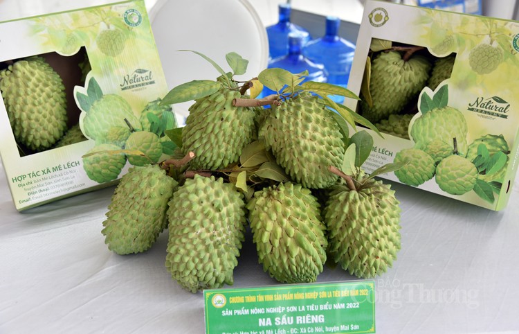 Tỉnh Sơn La Tôn vinh 19 sản phẩm nông nghiệp tiêu biểu Tỉnh Sơn La Tôn vinh 19 sản phẩm nông nghiệp tiêu biểu