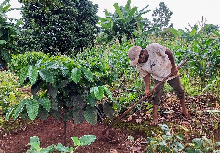 Đắk Nông: Gỡ khó, hỗ trợ nông dân phát triển sản xuất kinh doanh