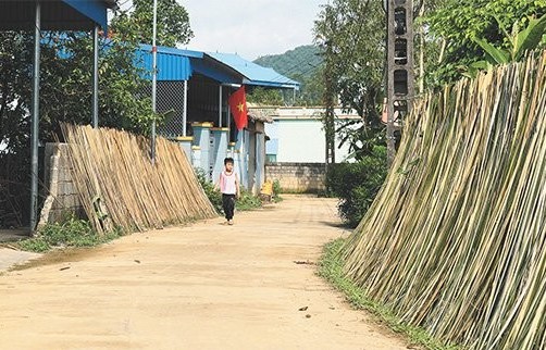 Thái Nguyên: Bảo tồn và phát triển nghề dệt mành cọ ở huyện miền núi