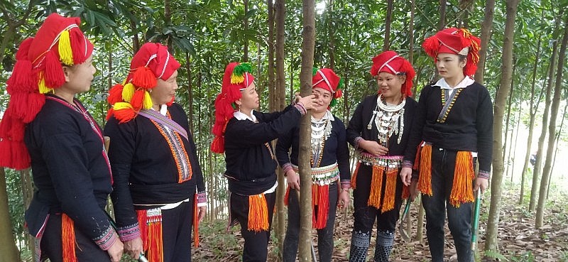 Mùa Xuân Mùa Xuân