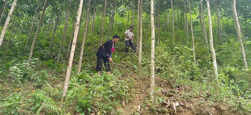 Mùa Xuân Mùa Xuân