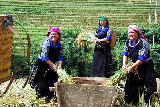 Chính sách giảm nghèo ở Việt Nam: Những con số nhiều ý nghĩa