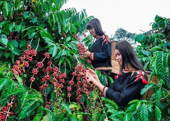 Bộ Công Thương ban hành kế hoạch hành động phát triển kinh tế, xã hội vùng Tây Nguyên