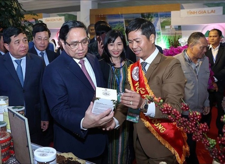 Công ty Vương Thành Công: Thành công với cà phê hữu cơ