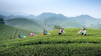 Đây là thời điểm quan trọng để thay đổi tư duy về du lịch nông nghiệp, nông thôn