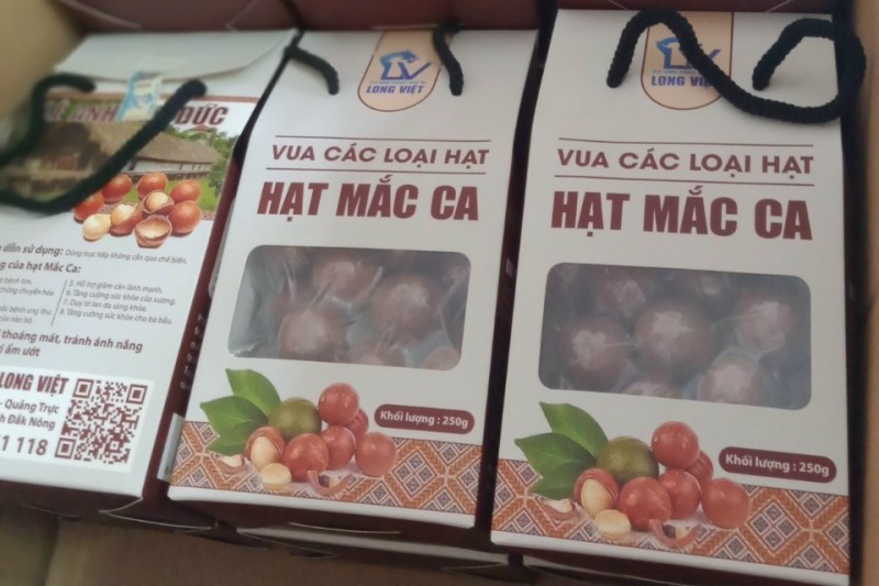 Đồng bào biên giới Đắk Nông thoát nghèo nhờ “cây tỷ đô”