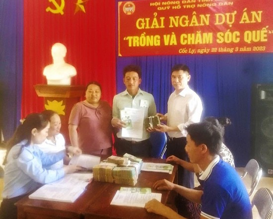 Lào Cai: Hỗ trợ 10 hộ nông dân xã Cốc Ly vay 1 tỷ đồng đầu tư trồng quế