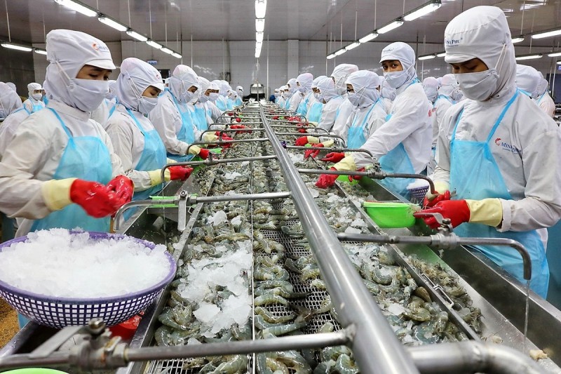 Xuất khẩu tôm tìm cách gỡ khó