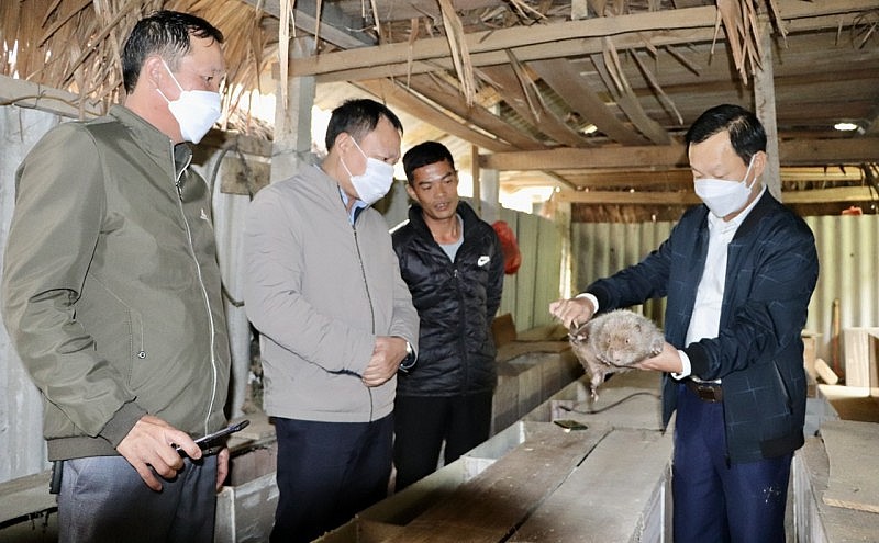 Hà Tĩnh: Xã biên giới Quang Thọ có 160 mô hình kinh tế thu nhập trên 100 triệu đồng