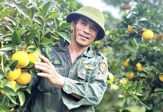 Hà Tĩnh: Xã biên giới Quang Thọ có 160 mô hình kinh tế thu nhập trên 100 triệu đồng