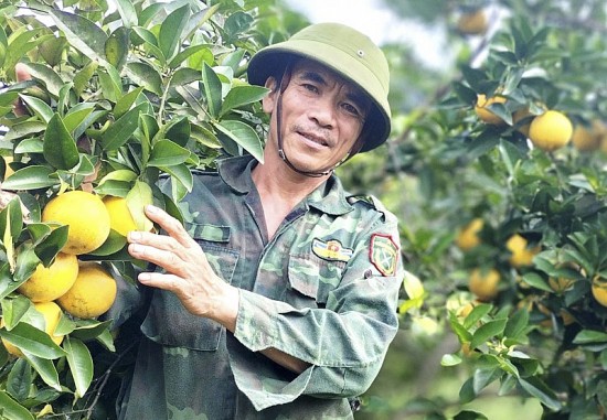 Hà Tĩnh: Xã biên giới Quang Thọ có 160 mô hình kinh tế thu nhập trên 100 triệu đồng