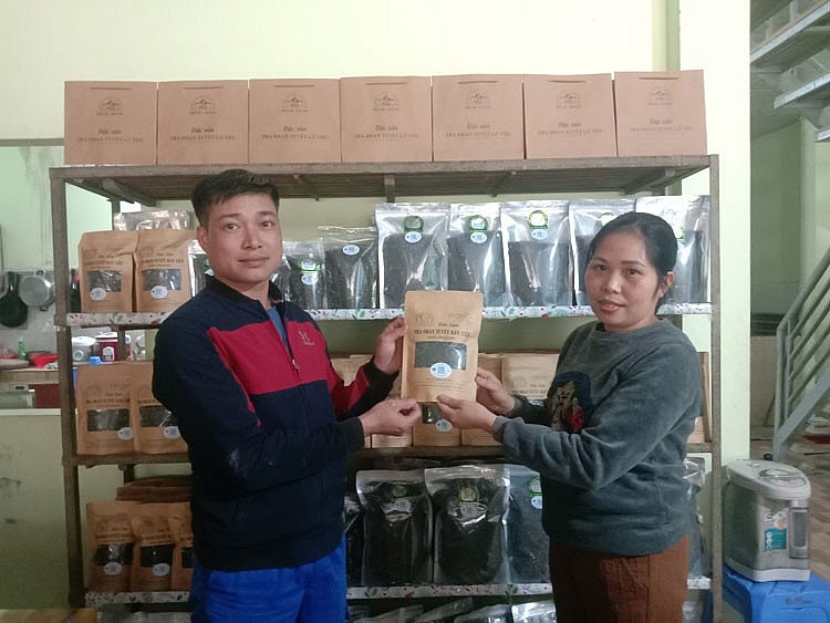 Phát triển thương hiệu chè Shan tuyết trên cao nguyên trắng Bắc Hà