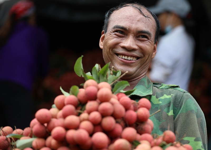 Thị trường nội địa còn rất nhiều tiềm năng để tiêu thụ vải thiều Lục Ngạn