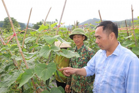 Sản xuất theo chuỗi giá trị: Mô hình cần được nhân rộng