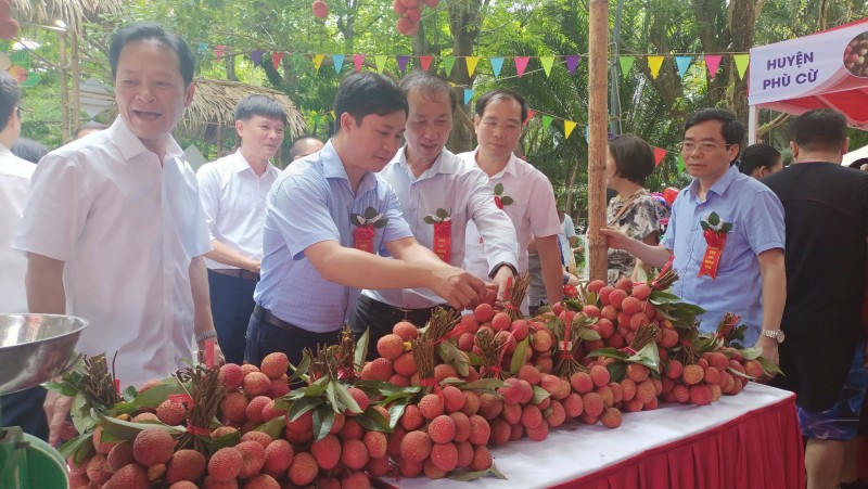 "Mãn nhãn" với những chùm vải chín mọng tại Phiên chợ Vải Hưng Yên năm 2023