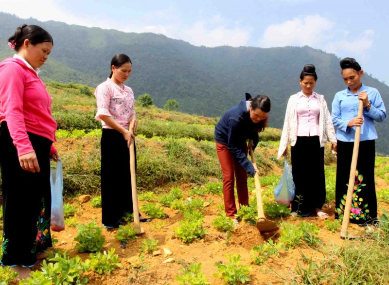 Lai Châu: Người dân thay đổi sinh kế, vươn lên thoát nghèo nhờ chương trình đào tạo nghề