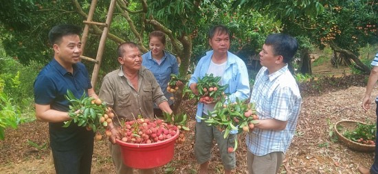 Làm giàu từ trồng cây ăn quả và nuôi ong lấy mật