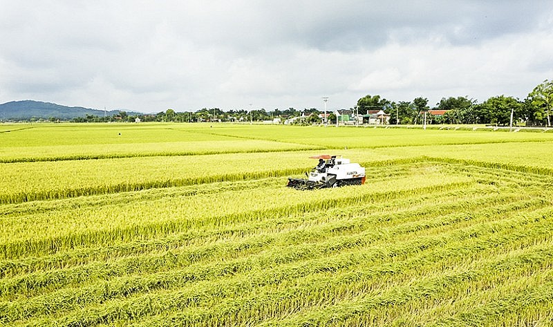 Phân bổ hơn 143 tỷ đồng vốn của các chương trình mục tiêu quốc gia ở Hà Tĩnh