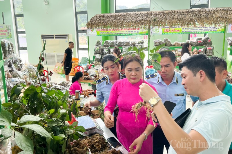 Quảng Nam: Rộn ràng phiên chợ sâm Ngọc Linh dịp 20 năm thành lập huyện Nam Trà My