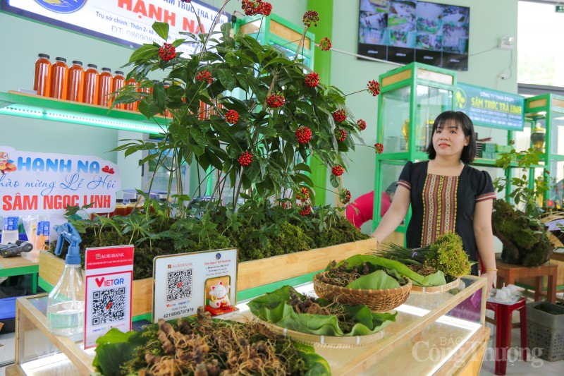 Quảng Nam: Rộn ràng phiên chợ sâm Ngọc Linh lần thứ 56 Quảng Nam: Rộn ràng phiên chợ sâm Ngọc Linh dịp 20 năm thành lập huyện Nam Trà My