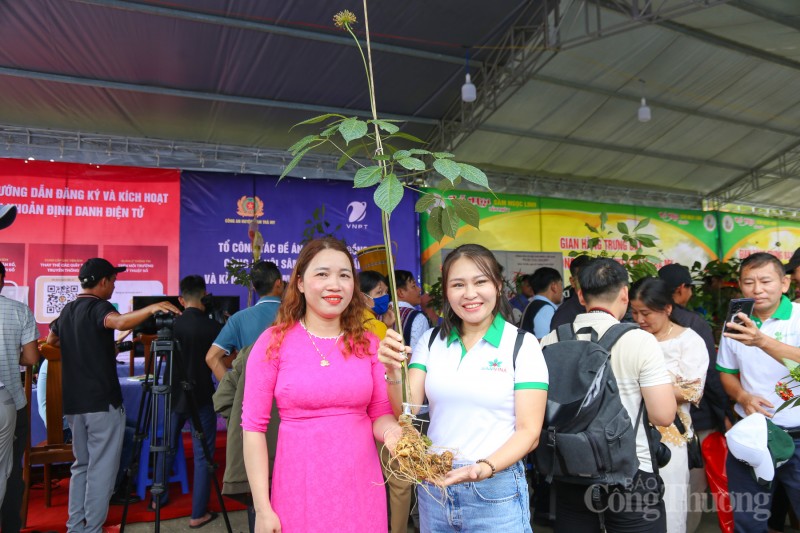 Quảng Nam: Rộn ràng phiên chợ sâm Ngọc Linh dịp 20 năm thành lập huyện Nam Trà My Quảng Nam: Rộn ràng phiên chợ sâm Ngọc Linh dịp 20 năm thành lập huyện Nam Trà My