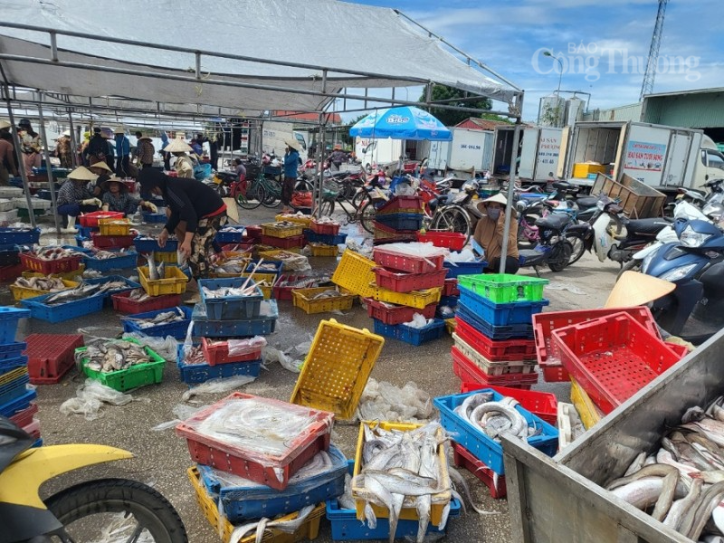 Thanh Hóa: Nghề khai thác, chế biến thủy sản giúp người dân phường Hải Bình thoát nghèo, làm giàu