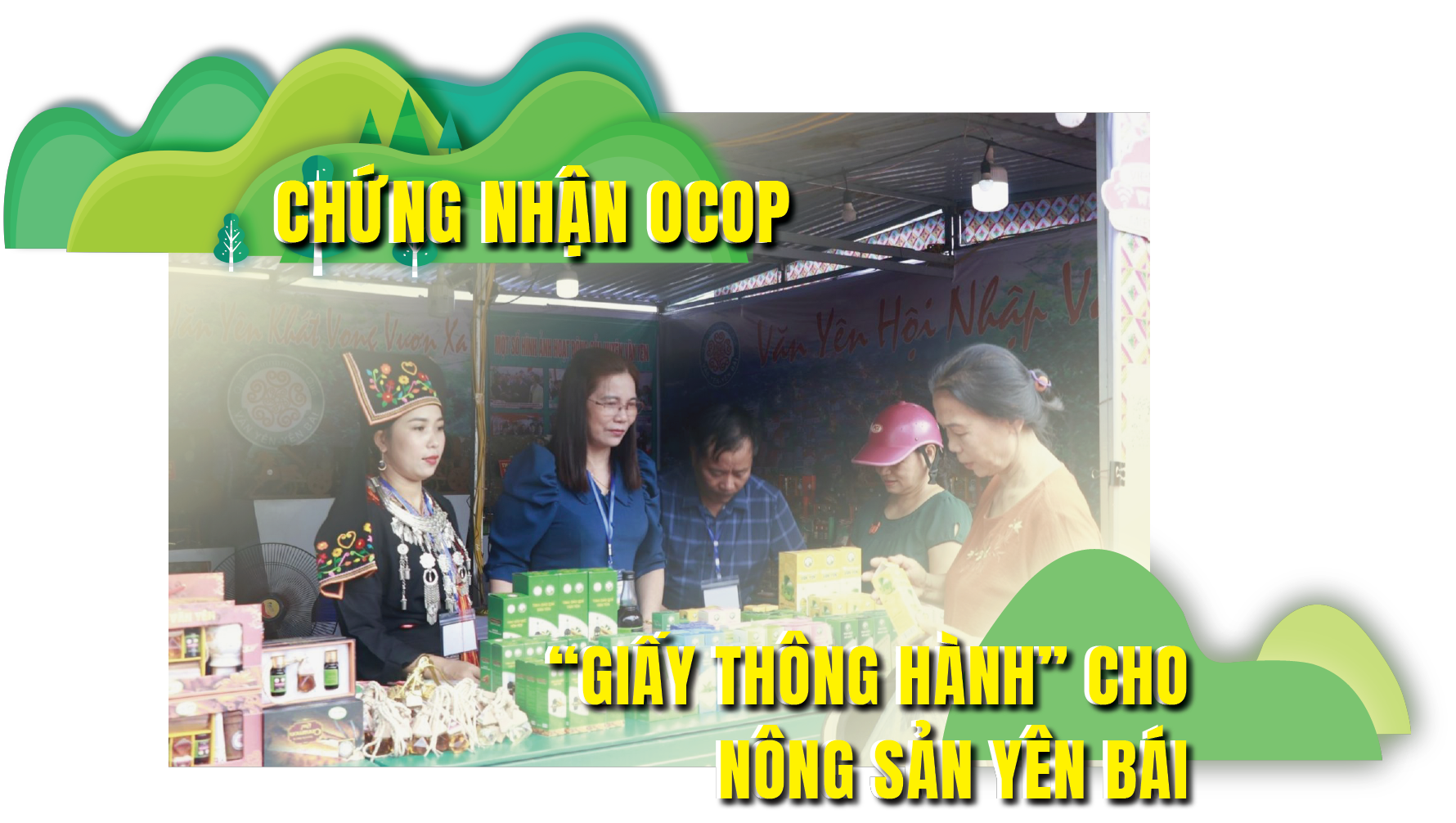 Longform | Chứng nhận OCOP: “Giấy thông hành” cho nông sản Yên Bái