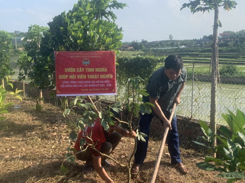 Những trái ngọt từ “vườn cây giảm nghèo”