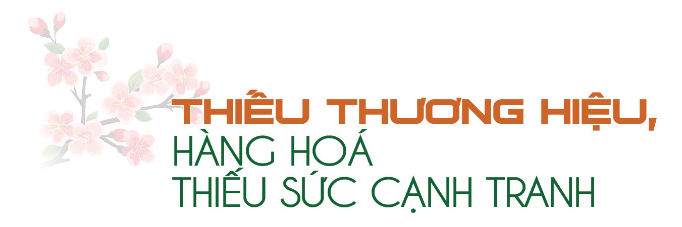 Longform | Chuyên gia ‘hiến kế’ xây dựng thương hiệu cho nông sản vùng dân tộc