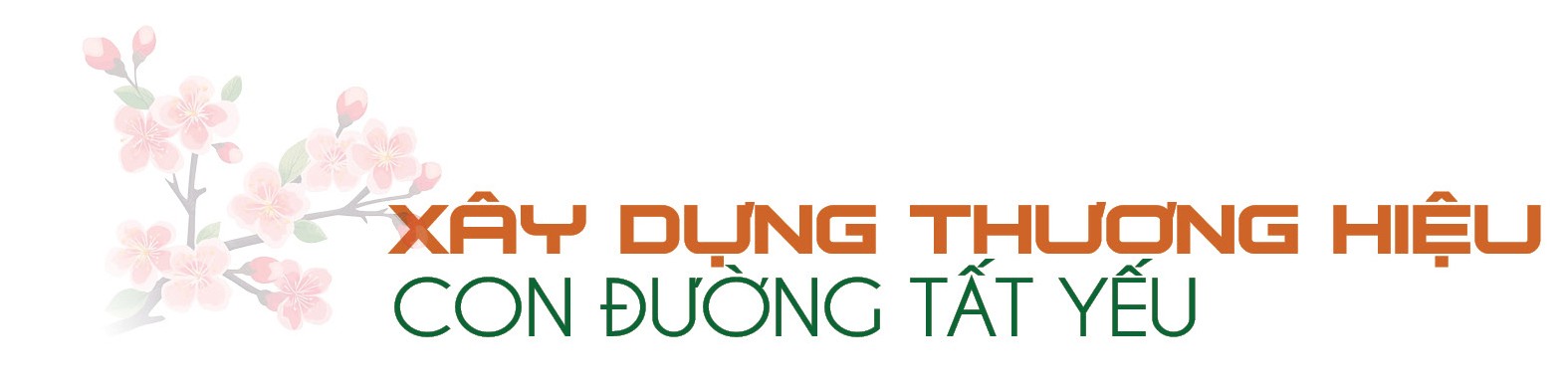 Longform | Chuyên gia ‘hiến kế’ xây dựng thương hiệu cho nông sản vùng dân tộc