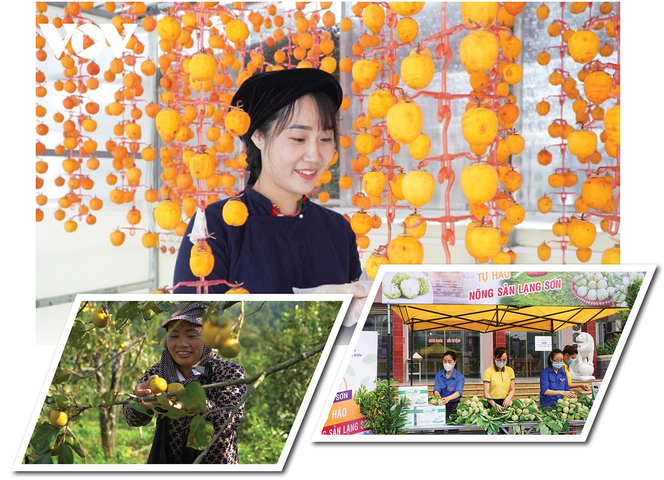 Longform | Chuyên gia ‘hiến kế’ xây dựng thương hiệu cho nông sản vùng dân tộc