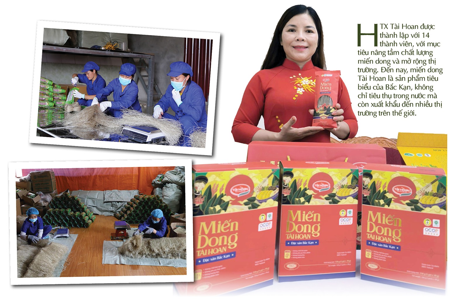 Longform | Chuyên gia ‘hiến kế’ xây dựng thương hiệu cho nông sản vùng dân tộc