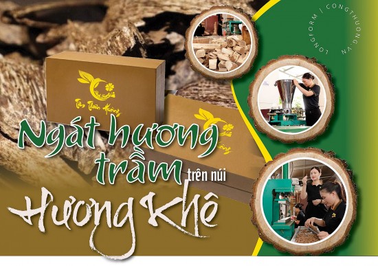 Longform | Ngát hương trầm trên núi Hương Khê