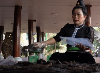 hun khoi thit trau thap sang khat vong vuon len thoat ngheo