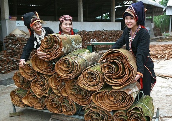 Bản làng Yên Bái bừng sáng với những
