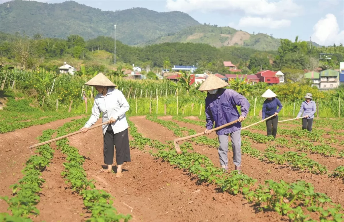 Người dân Mường Nhé ấm no nhờ chính sách giảm nghèo