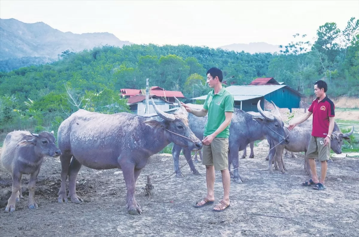 Người dân Mường Nhé ấm no nhờ chính sách giảm nghèo