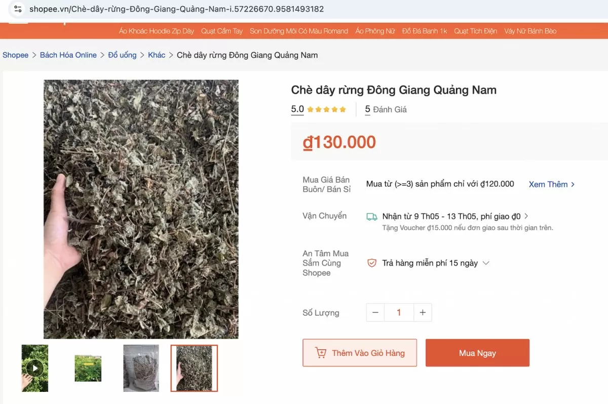 Người Cơ Tu thoát nghèo nhờ chè dây Ra Zéh