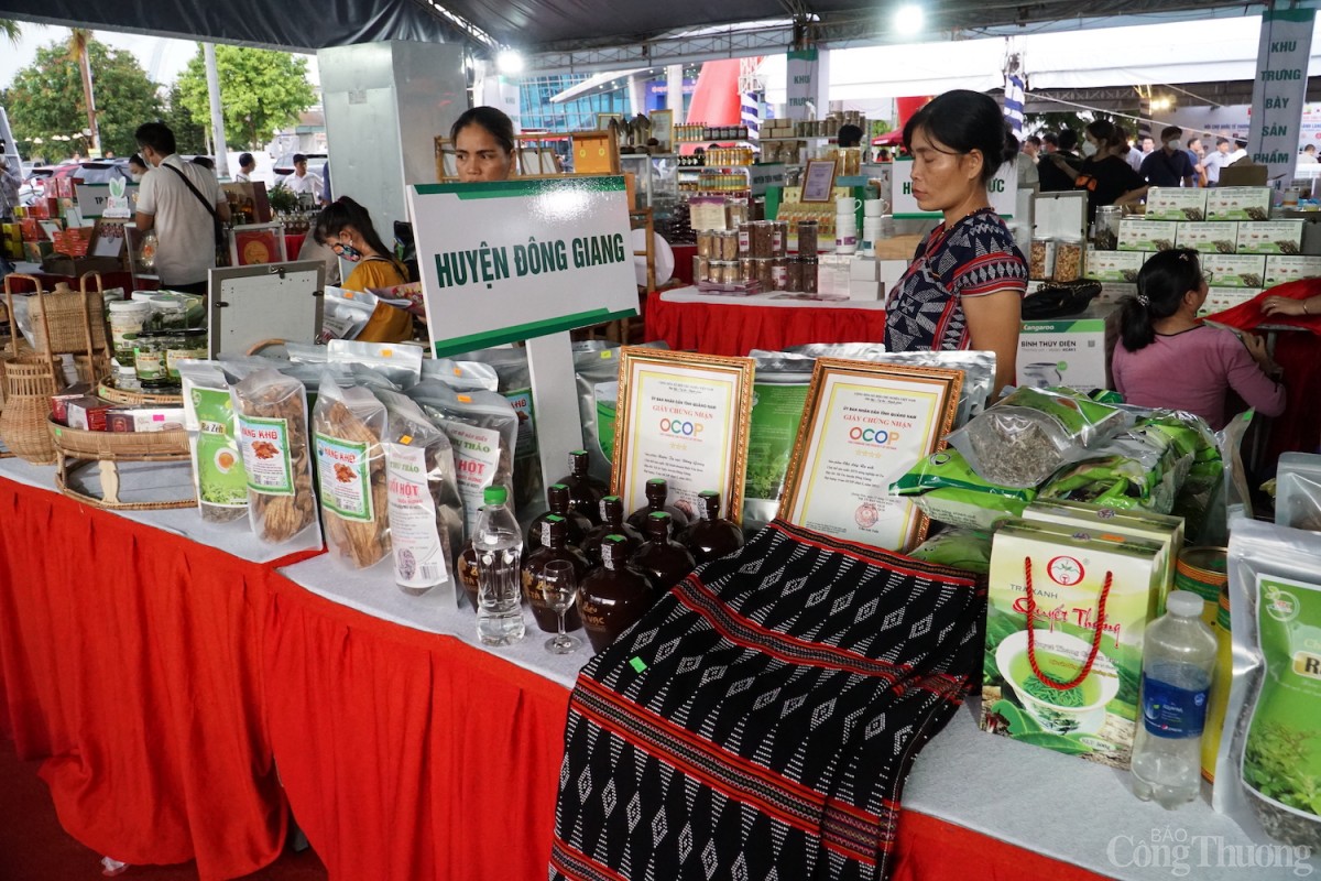 Người Cơ Tu thoát nghèo nhờ chè dây Ra Zéh